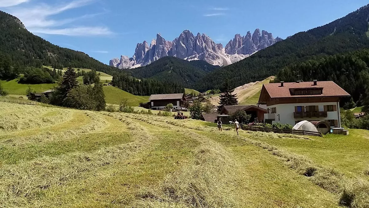 durante la fienagione