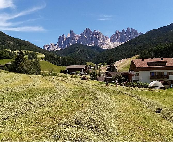 durante la fienagione