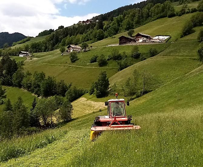 Falciatura del fieno