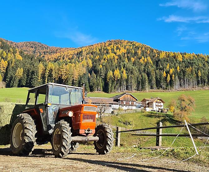 Alpegger - Bildergalerie Photo