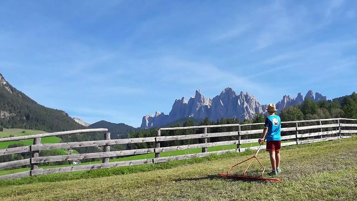 Lavoro con il fieno in estate