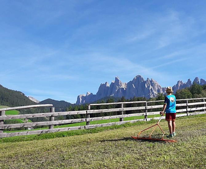 Lavoro con il fieno in estate