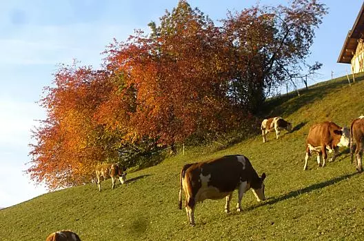 Maloarhof - Liste Photo