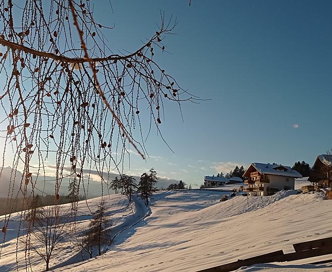Mandlerhof - Bildergalerie Photo