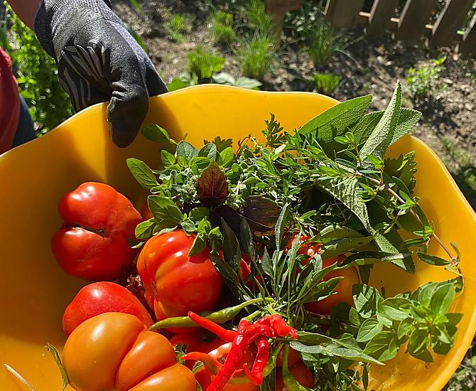 Più il piatto è colorato, più sano è il cibo.