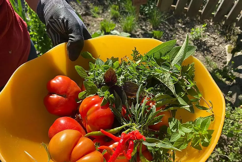 Più il piatto è colorato, più sano è il cibo.