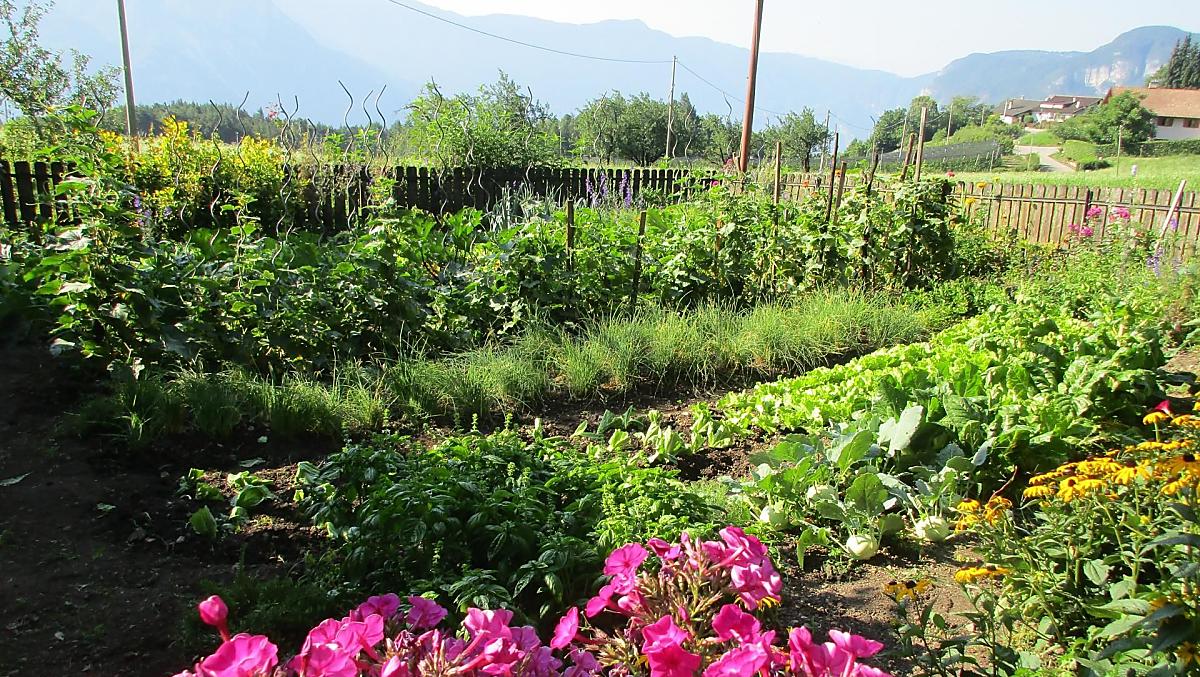 Il giardino contadino di Marta