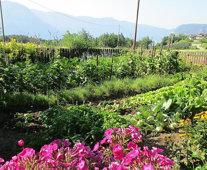 Il giardino contadino di Marta