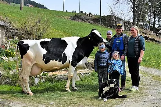 La mucca Berta, con una produzione di 100.000 litri di latte.