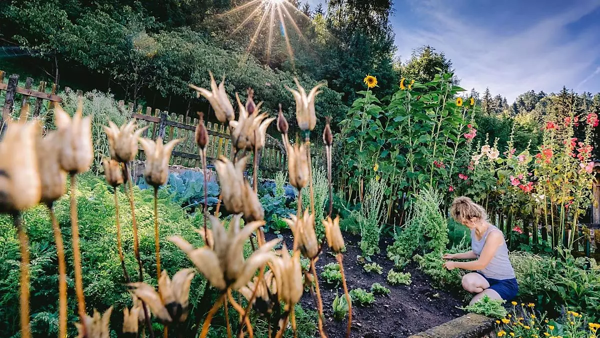 Il nostro orto di verdure e erbe aromatiche
