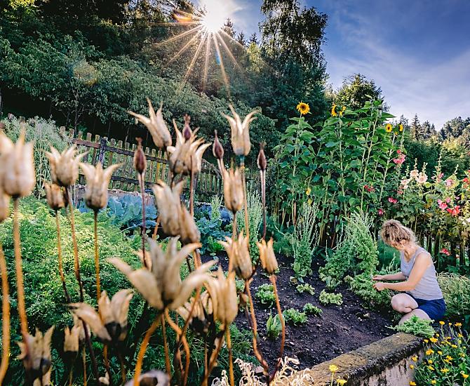Il nostro orto di verdure e erbe aromatiche