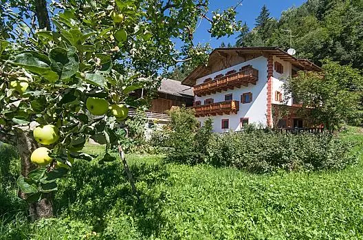 Casa con stalla in posizione soleggiata, circondata da coltivazioni di frutta e verdura.
