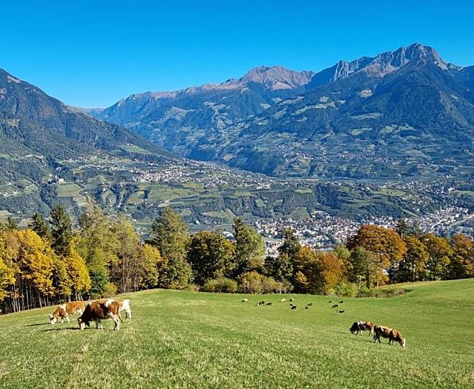 Flatscherhof - Bildergalerie Photo