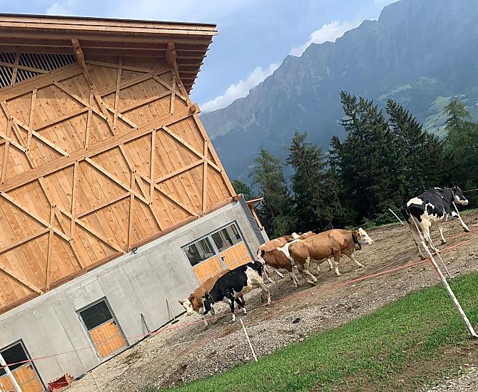 Flatscherhof - Bildergalerie Photo
