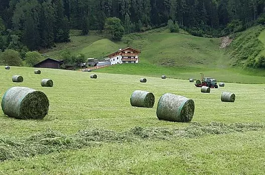 Il nostro raccolto di fieno