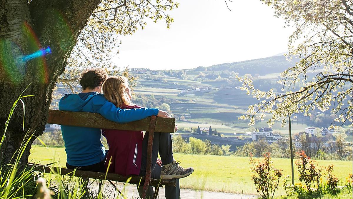 Vigneti e prati come oasi di pace e relax.