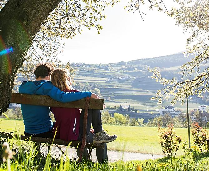 Vigneti e prati come oasi di pace e relax.
