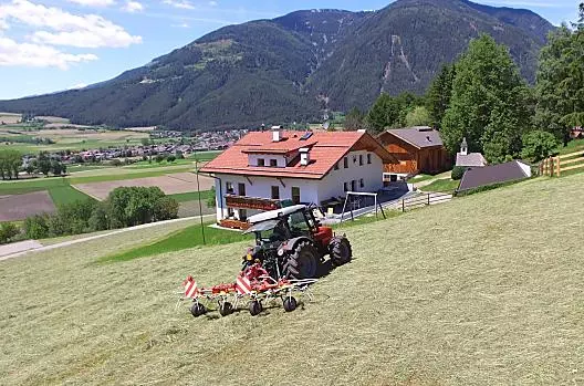 Durante la raccolta del fieno