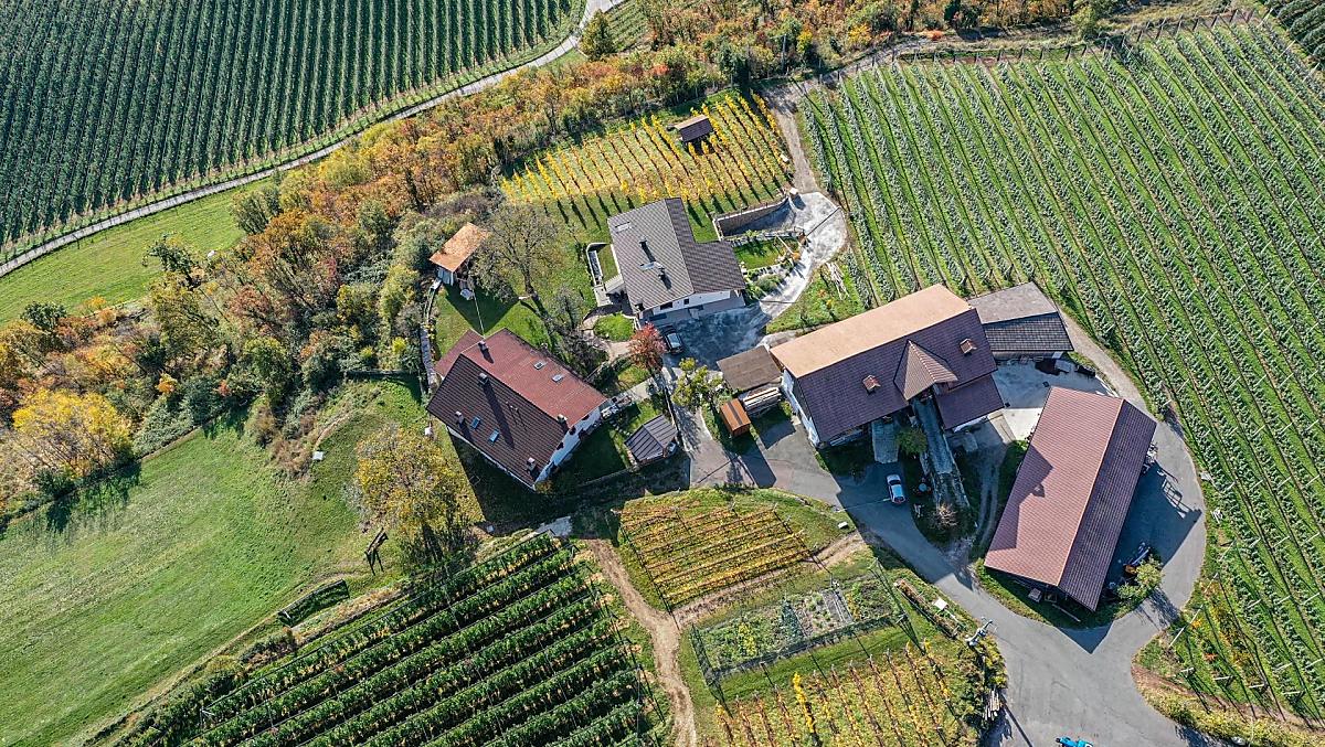 Herbst
