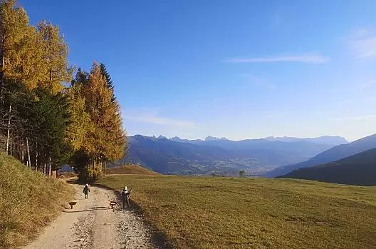 Autunno al maso con vista su Bressanone