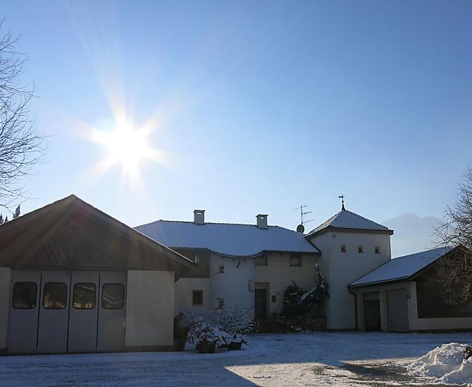 Feldererhof - Bildergalerie Photo
