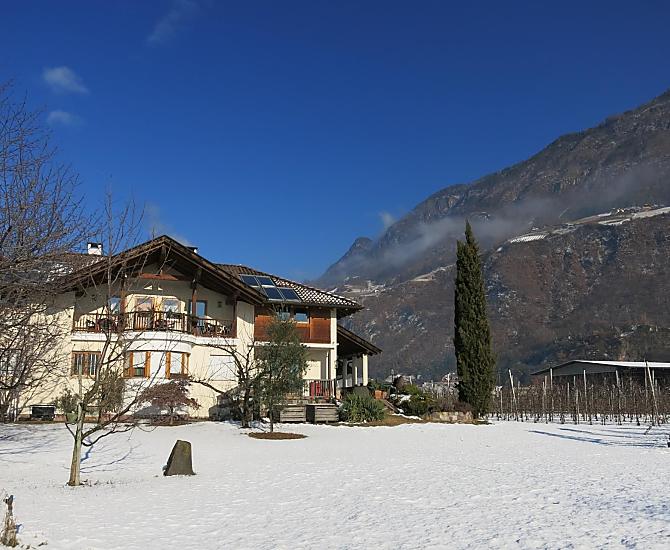 Feldererhof - Bildergalerie Photo
