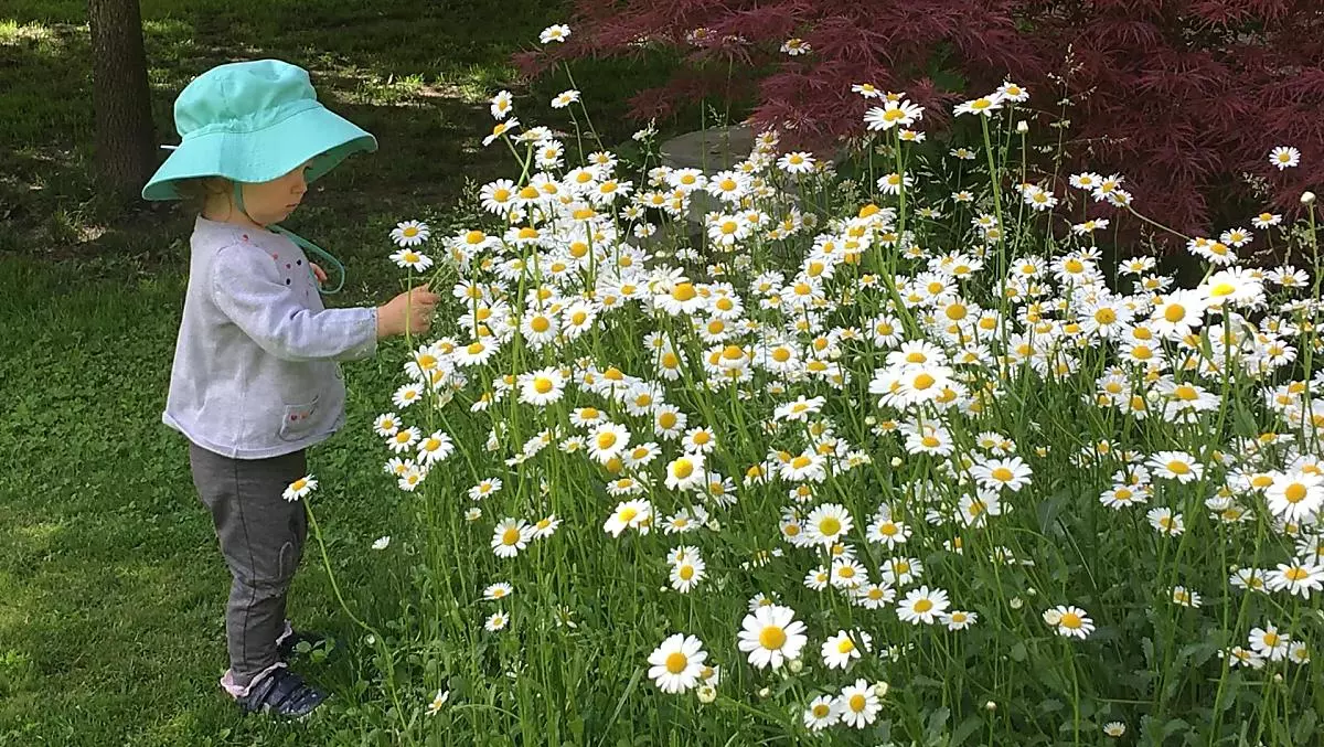 Nel nostro giardino c'è sempre qualcosa da scoprire.