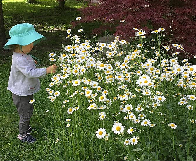 Nel nostro giardino c'è sempre qualcosa da scoprire.