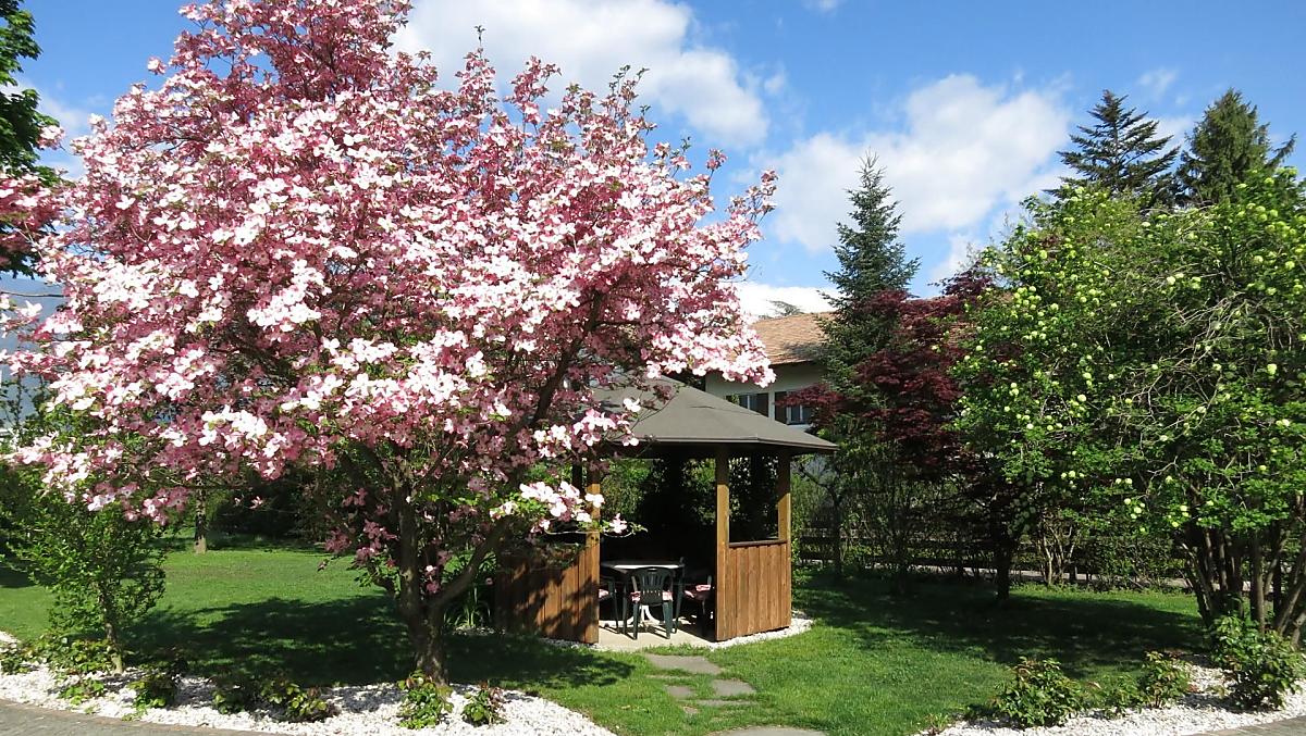 La nostra casetta da giardino è un luogo di incontro molto apprezzato. Soprattutto d'estate, è il posto ideale per concludere la giornata in tutta tranquillità.
