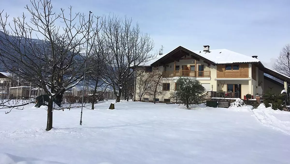 Feldererhof - Bildergalerie Photo