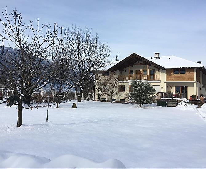 Feldererhof - Bildergalerie Photo