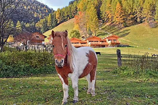 Leitnerhof - Liste Photo