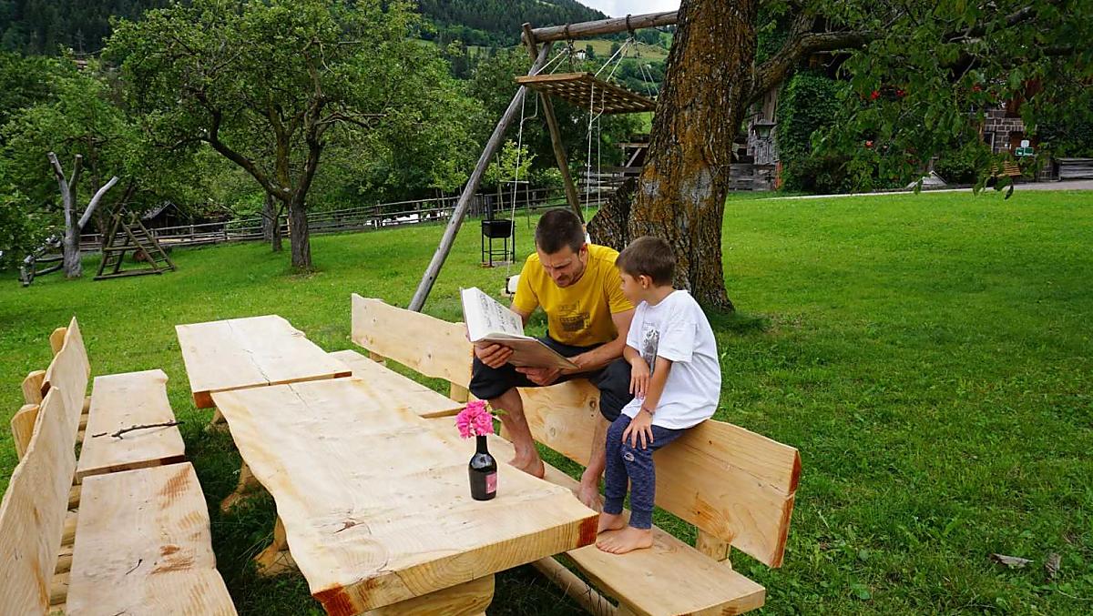 Set da tavola e attrezzature per il barbecue sotto il grande albero di noce