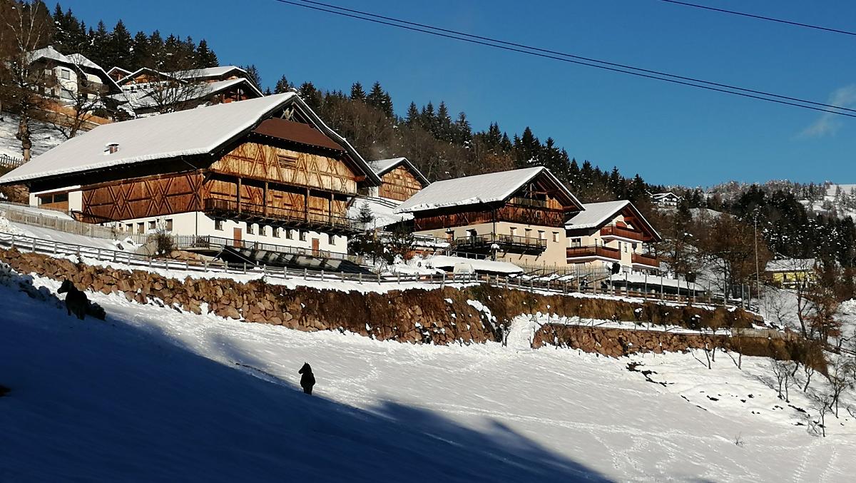 Wargerhof - Bildergalerie Photo