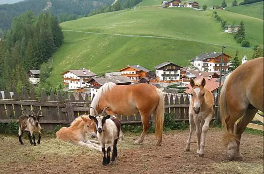 Parseidhof - Liste Photo