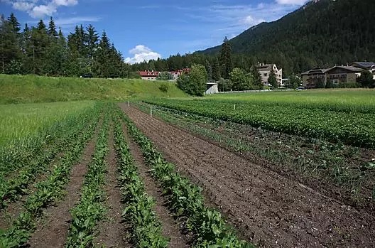 Klaudehof - Liste Photo