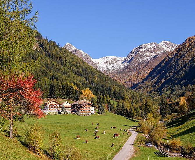 Alpegger - Bildergalerie Photo