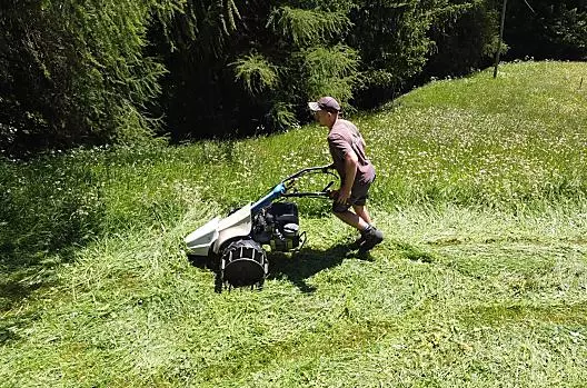 Il giovane contadino Hannes al lavoro