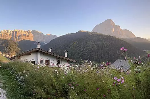 Daunei - Liste Photo