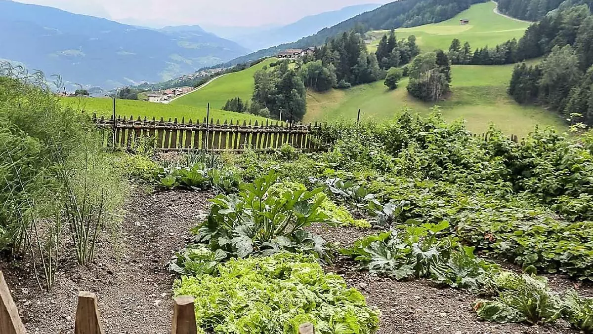 Il regno della contadina: il nostro giardino.