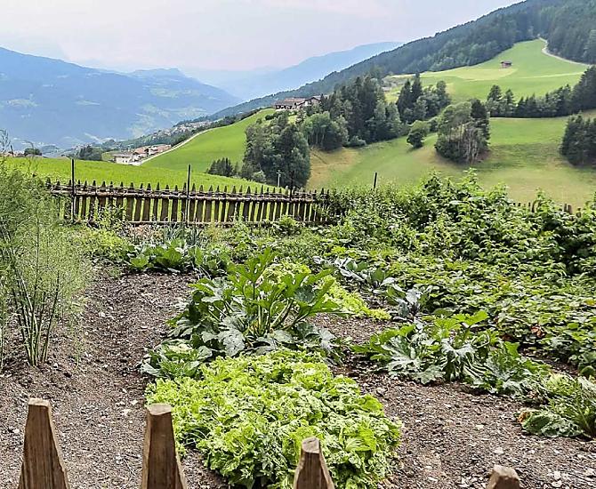 Il regno della contadina: il nostro giardino.