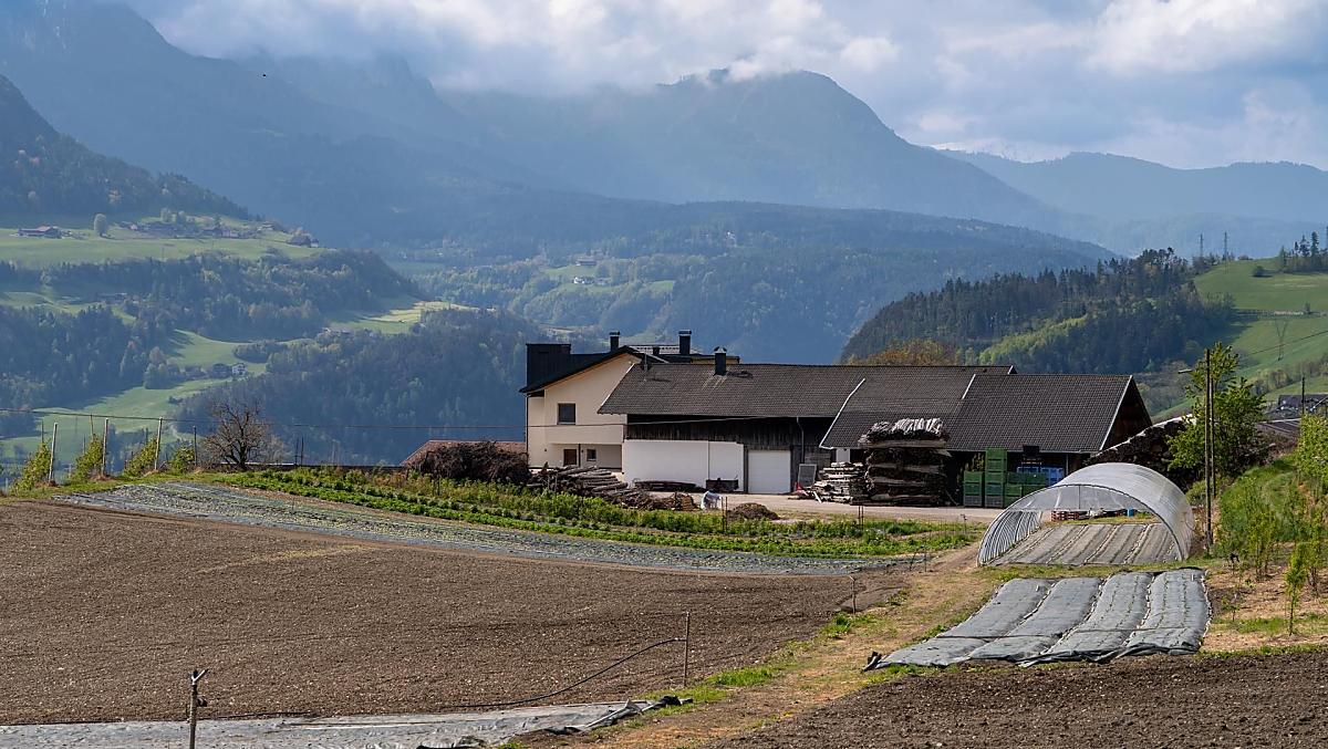 Campo dietro la casa