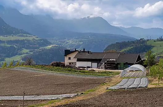 Campo dietro la casa