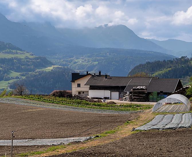 Campo dietro la casa