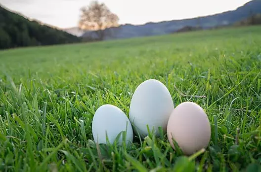 Le uova del Paalhof sono diverse come le nostre galline ruspanti: colorate e di dimensioni diverse, ma soprattutto naturali!