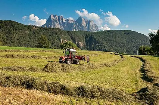 La fienagione è faticosa, emozionante e sempre bella, soprattutto quando il tempo collabora, come in questa perfetta giornata estiva.