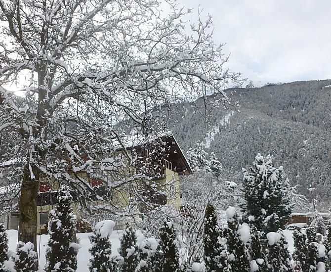 A volte molta neve, piste per slittini nelle vicinanze, sci di fondo e tappeto magico nella Val Martello, molti animali nella stalla.