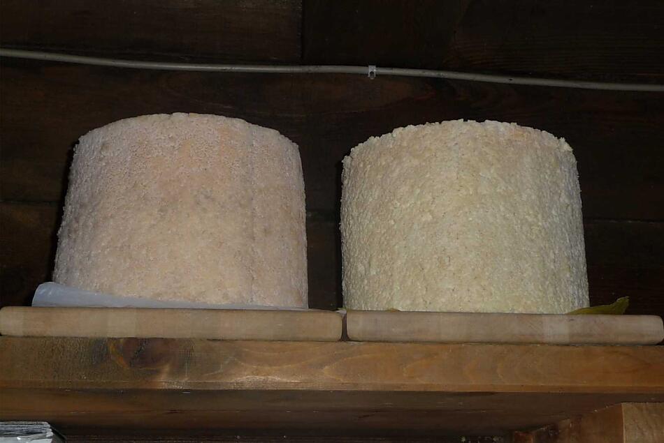 Il contadino anziano produce il formaggio Graukäse della Valle Aurina in alpeggio secondo un'antica tradizione. Il Graukäse è un formaggio a basso contenuto di grassi e molto salutare. 