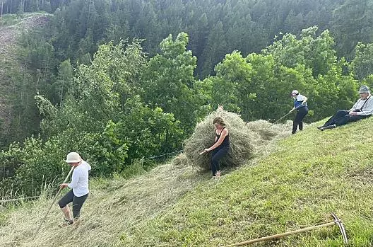 Moarhof - Liste Photo