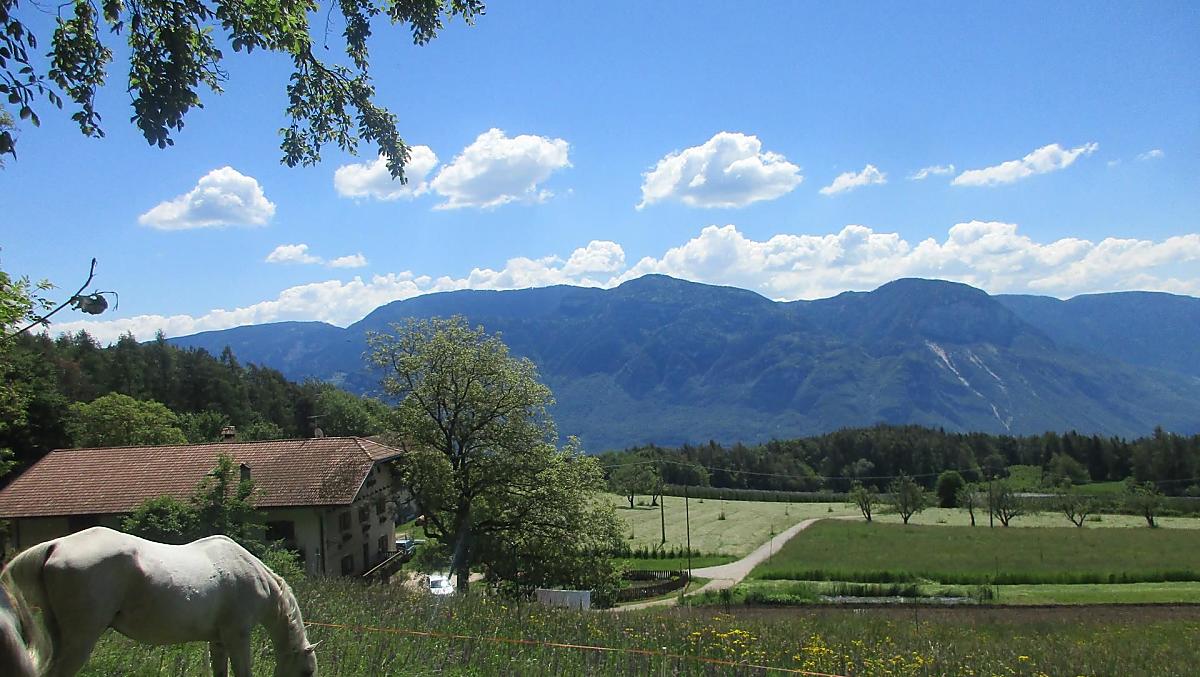 Ungerer Hof - Bildergalerie Photo